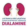 Logo Clinique de Néphrologie-Hémodialyse Dialamine