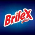 Logo Garden Clean Brilex