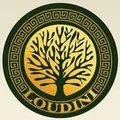Logo SARL LOUDINI AGRO IND
