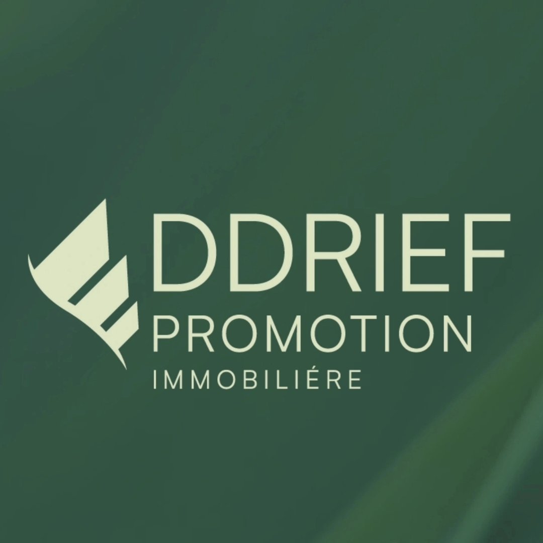 Logo Eddrief Promotion Immobilière