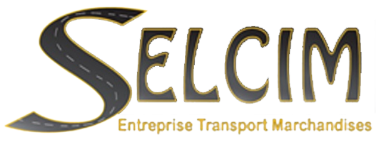 Logo Selcim